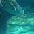 Sherry Campbell's profile image
