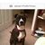 Ginny Gillock's profile image
