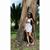 Carlita Amores's profile image