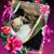 Debbie Weldon's profile image