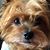 Debbie Nalley Kenney's profile image