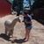 Shana Zeestraten's profile image