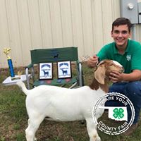 Kara Sparks's profile image