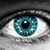 Hassen Hanevi's profile image