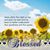 Beth Shumate Chapman's profile image
