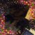 Mary Rose Boyles's profile image