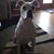 Todd Roberts's profile image