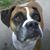 Maura Cagney Leus's profile image