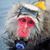Freddy Dunaway's profile image