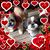 Sue James's profile image
