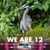 Theresa Wyant Bearss's profile image