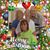 Cindy Morrison's profile image