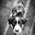 Karen Brown's profile image