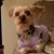 Tami Hillegas-Holzer's profile image