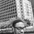 Leslie Chiko Mateveke's profile image