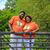 Zay Belle-Joseph's profile image