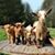 Brenda M. Foster's profile image