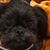 Lori Bate's profile image
