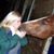 Jennifer Weigand's profile image