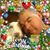Andrew Cox's profile image