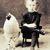 SadieLee Harke Dawiedczyk's profile image