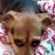 Julie McClung's profile image