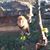 John Giancola's profile image