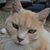 Kitty Bull's profile image