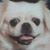 Debby Lynne Storie's profile image