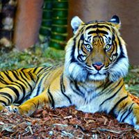 Johnny Meeks's profile image