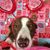 Cheryl Thiel's profile image