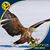 Martel Cadenas's profile image
