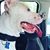 Luis Martinez's profile image