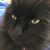 Sandra Steffenhagen's profile image