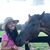 Savannah Unger's profile image