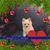 Mitchell T Ha's profile image