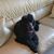 Freja Muether's profile image