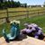 Cindy Karhan's profile image