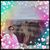 Shelley Pearl Evans's profile image