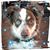 Kim Chapman Lunceford's profile image