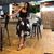 Adina Gligor's profile image