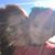 Chelsea Tredway's profile image