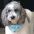Lesa Redwine Paddack's profile image