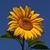 Beth Roberts's profile image