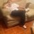 Octavio Flores's profile image