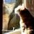 Beth Koch Marrs's profile image