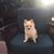 Mitchell T Ha's profile image