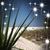 Sue Wyglendowski's profile image