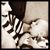 Angie Christina McCann's profile image