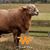 Robert Walker's profile image